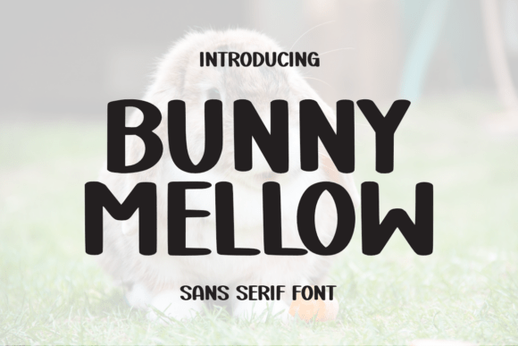 Bunny Mellow Font Review for Campaign Designers